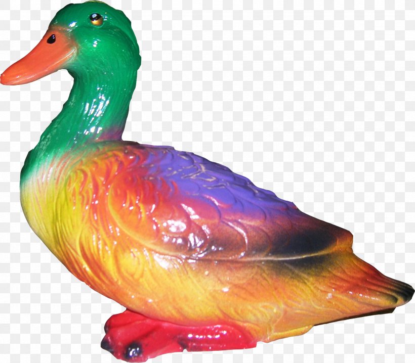 Duck Beak, PNG, 1848x1619px, Duck, Beak, Bird, Ducks Geese And Swans, Organism Download Free