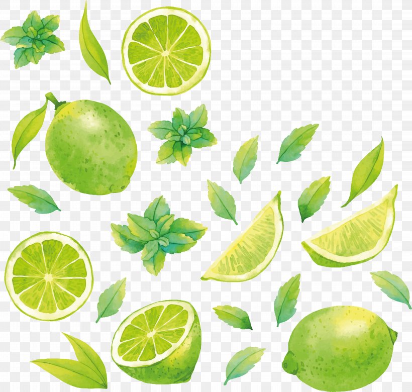 Lemon-lime Drink Key Lime Food, PNG, 8734x8308px, Lemon, Advertising, Citric Acid, Citron, Citrus Download Free