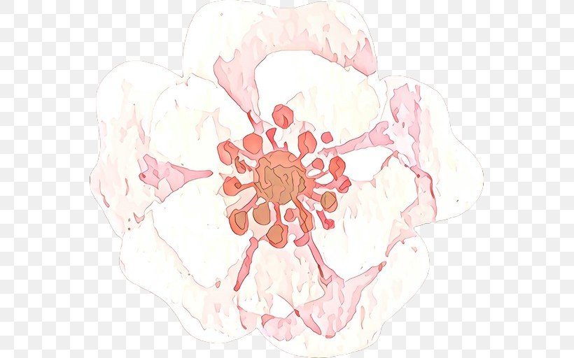 Pink Flower Plant Petal Peach, PNG, 563x512px, Cartoon, Blossom, Flower, Peach, Petal Download Free