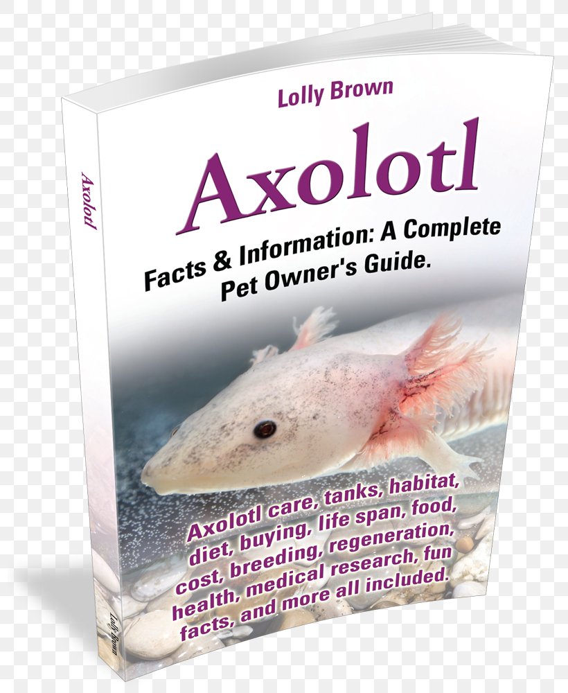 Axolotl Aquarium Pet Salamander Breed, PNG, 798x1000px, Axolotl, African Clawed Frog, Animal, Aquarium, Breed Download Free
