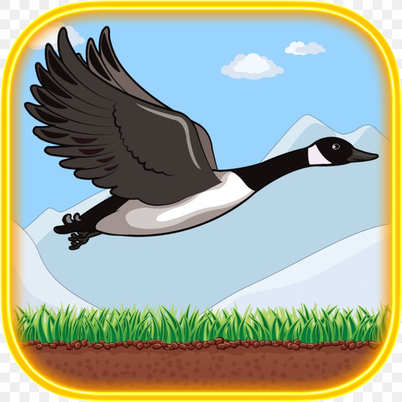 Goose Duck Bird Red Ball Jump Anatidae, PNG, 1024x1024px, Watercolor, Cartoon, Flower, Frame, Heart Download Free