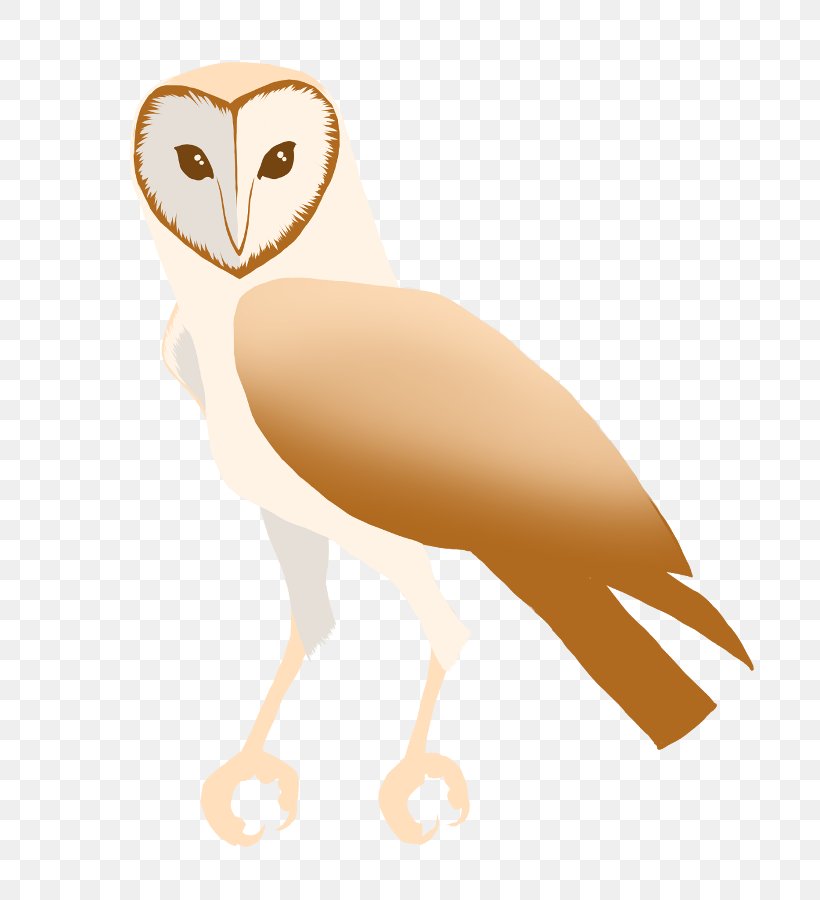 Owl Beak Neck Clip Art, PNG, 720x900px, Owl, Beak, Bird, Bird Of Prey, Fauna Download Free