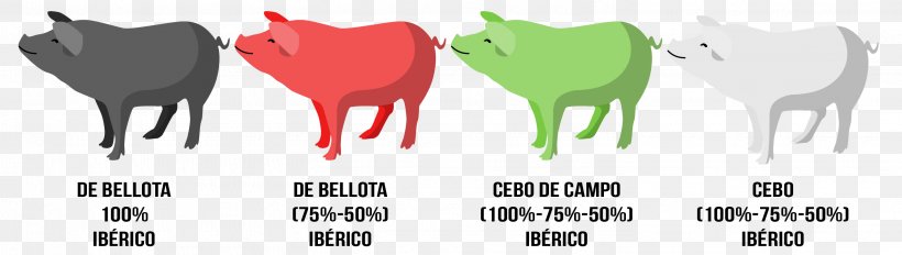 Black Iberian Pig Ham Duroc Pig Jamón Ibérico Tapas, PNG, 2917x828px, Watercolor, Cartoon, Flower, Frame, Heart Download Free