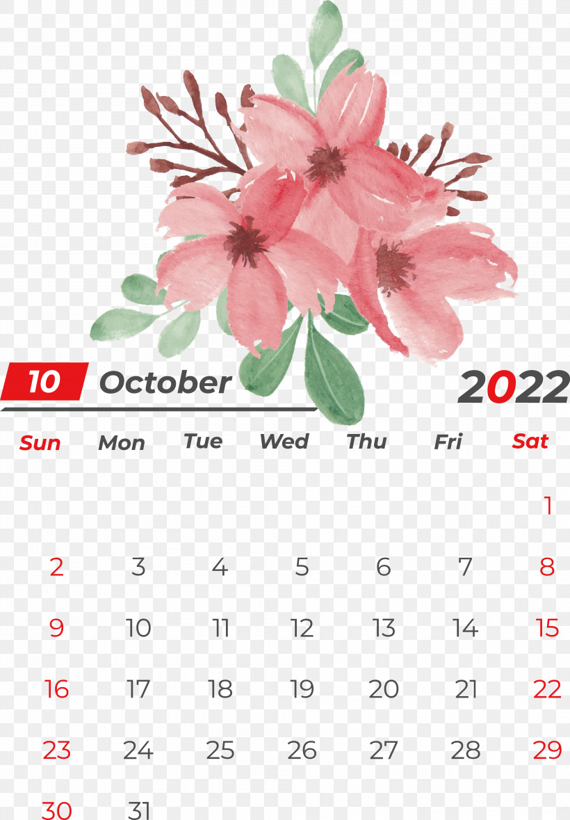 Floral Design, PNG, 3974x5717px, Flower, Biology, Calendar, Floral Design, Meter Download Free