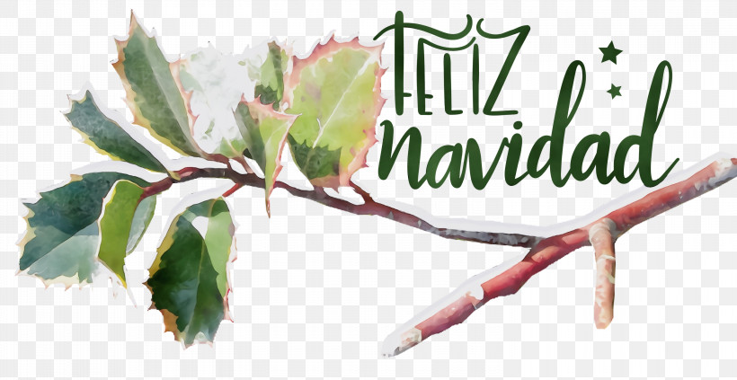 Holly, PNG, 3000x1551px, Feliz Navidad, Branch, Common Holly, Evergreen, Holly Download Free
