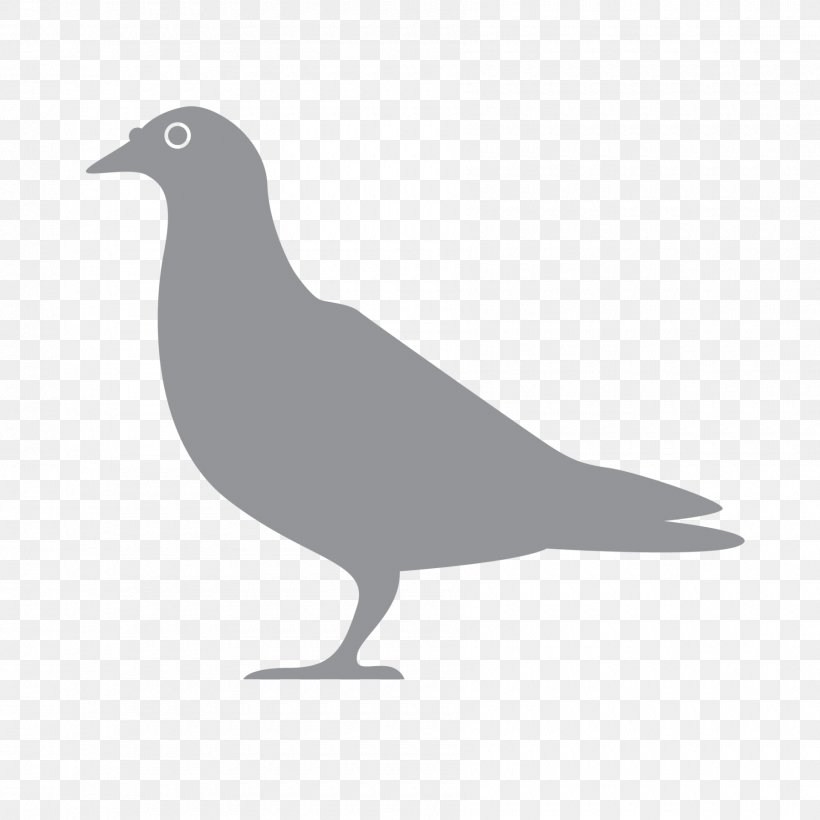 Pest Exterminator Beak Bird Pigeons And Doves, PNG, 1800x1800px, 1st Pest Control, Pest, Beak, Bird, Black Download Free