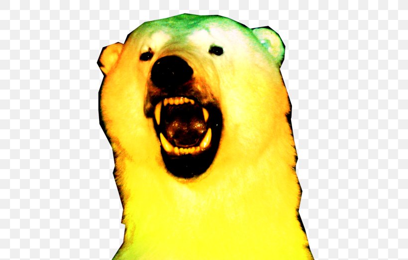 Polar Bear Fruit Snout, PNG, 500x523px, Polar Bear, Bear, Carnivoran, Food, Fruit Download Free