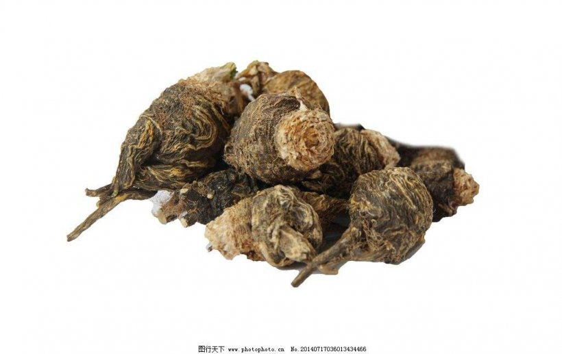 Shenkui Lycium Chinense Health Goji Disease, PNG, 1024x646px, Shenkui, Animal Source Foods, Chinese Herbology, Disease, Dried Fruit Download Free