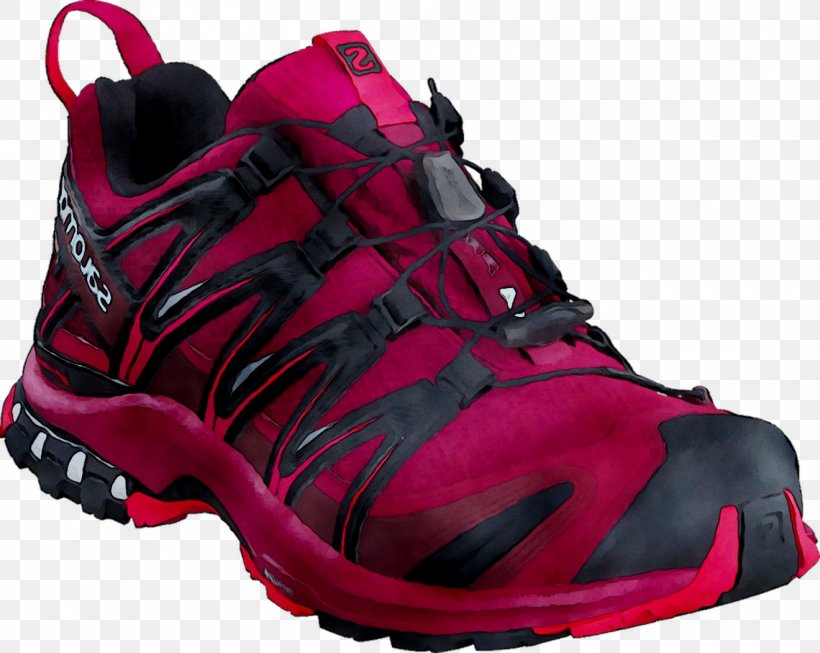 Sports Shoes Sneakers Hiking Boot Sportswear, PNG, 1320x1052px, Sports Shoes, Athletic Shoe, Basketball, Basketball Shoe, Boot Download Free