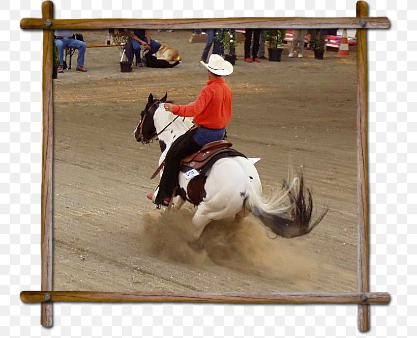 Stallion Rodeo Rein Mustang Mare, PNG, 743x664px, Stallion, Animal Sports, Bridle, Equestrian, Equestrian Sport Download Free