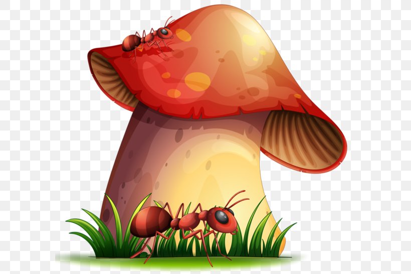 Vector Graphics Clip Art Photography Mushroom, PNG, 600x546px, Photography, Cartoon, Fruit, House, Mushroom Download Free