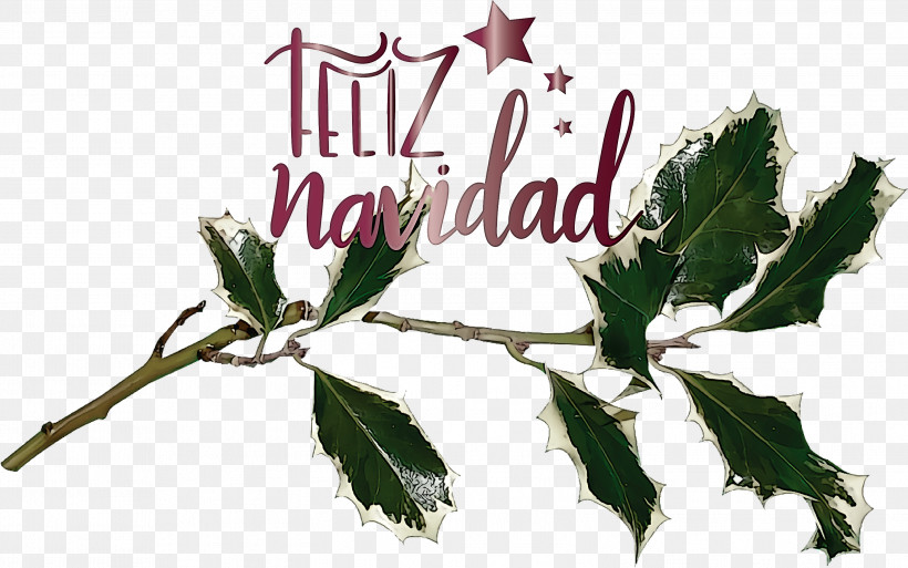 Feliz Navidad Merry Christmas, PNG, 2999x1877px, Feliz Navidad, Branch, Christmas Day, Christmas Plants, Common Holly Download Free