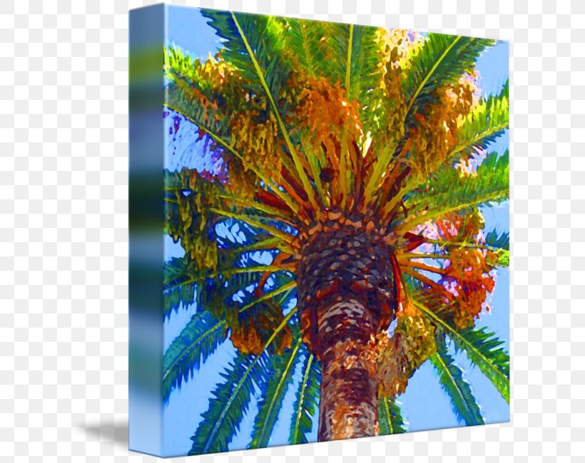 Gallery Wrap Art Painting Canvas Tree, PNG, 624x650px, Gallery Wrap, Abstract Art, Arecaceae, Art, Canvas Download Free