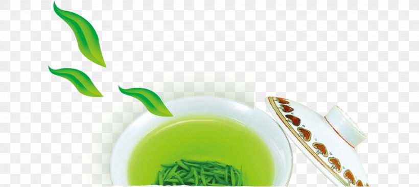 Green Tea Teaware Teacup, PNG, 3210x1434px, Tea, Brand, Camellia Sinensis, Chawan, Google Images Download Free