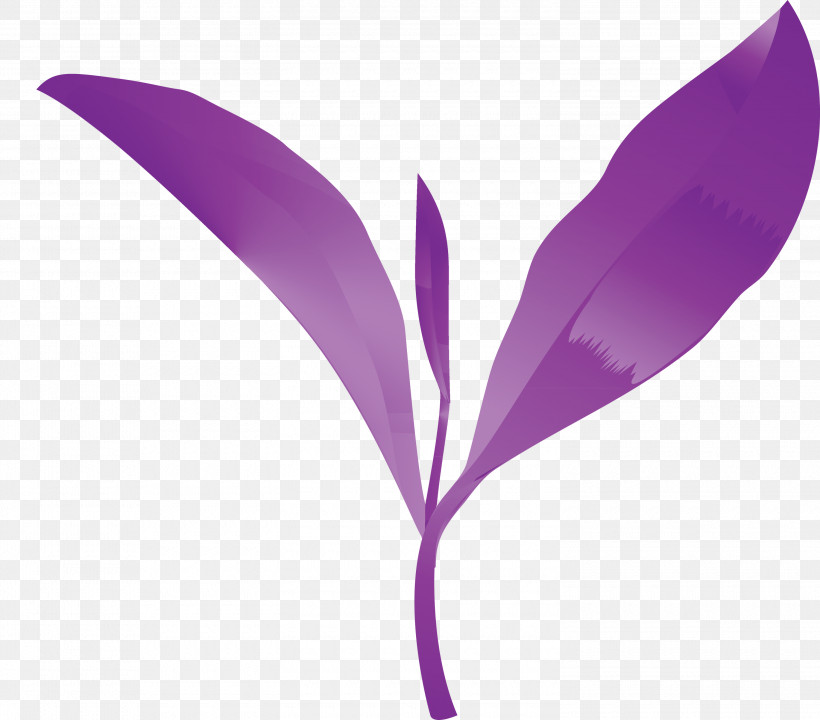 Tea Leaves Leaf Spring, PNG, 3000x2636px, Tea Leaves, Crocus, Feather, Flower, Herbaceous Plant Download Free