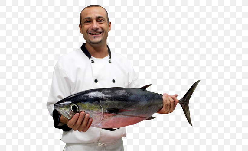 Tuna Mackerel Fishing Fish Products 09777, PNG, 531x500px, Tuna, Animal Source Foods, Bonito, Bony Fish, Fish Download Free