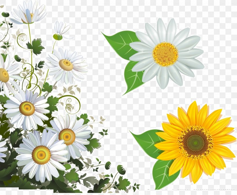 Common Daisy Flower Picture Frame Stock Photography Clip Art, PNG, 1024x843px, Common Daisy, Annual Plant, Chamaemelum Nobile, Chamomile, Chrysanths Download Free