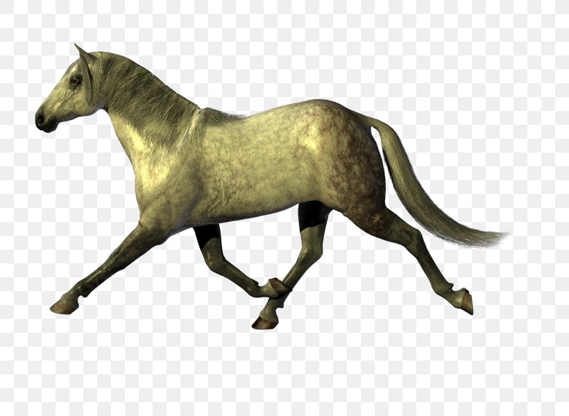 Mustang Stallion Clip Art, PNG, 800x600px, Mustang, Animal, Animal Figure, Depositfiles, Horse Download Free