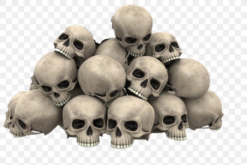 Skull Royalty-free Stock Photography Image Graphics, PNG, 864x576px, Skull, Bone, Drawing, Human Skull, Jaw Download Free