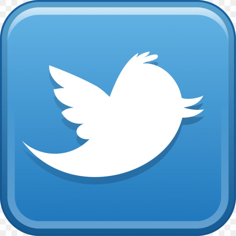 Social Media Logo Clip Art, PNG, 1024x1024px, Social Media, Beak, Bird, Blog, Child Download Free