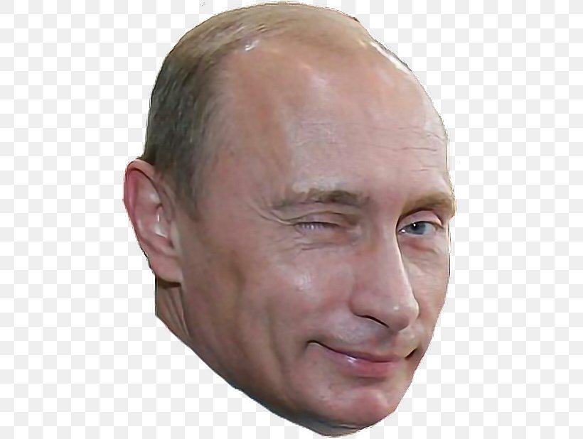 Vladimir Putin President Of Russia Journalist Image, PNG, 476x618px, Vladimir Putin, Barack Obama, Cheek, Chin, Donald Trump Download Free