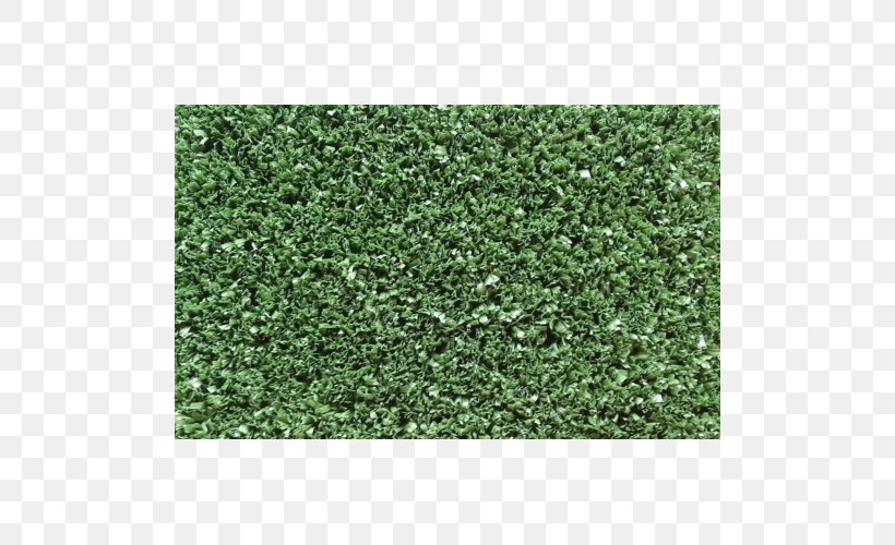 Hedge Green Groundcover Lawn, PNG, 500x500px, Hedge, Grass, Green, Groundcover, Lawn Download Free