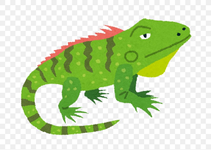 Reptile Lizard Green Iguana Blue Iguana Chameleons, PNG, 684x582px, Reptile, Amphibian, Animal, Animal Figure, Blue Iguana Download Free