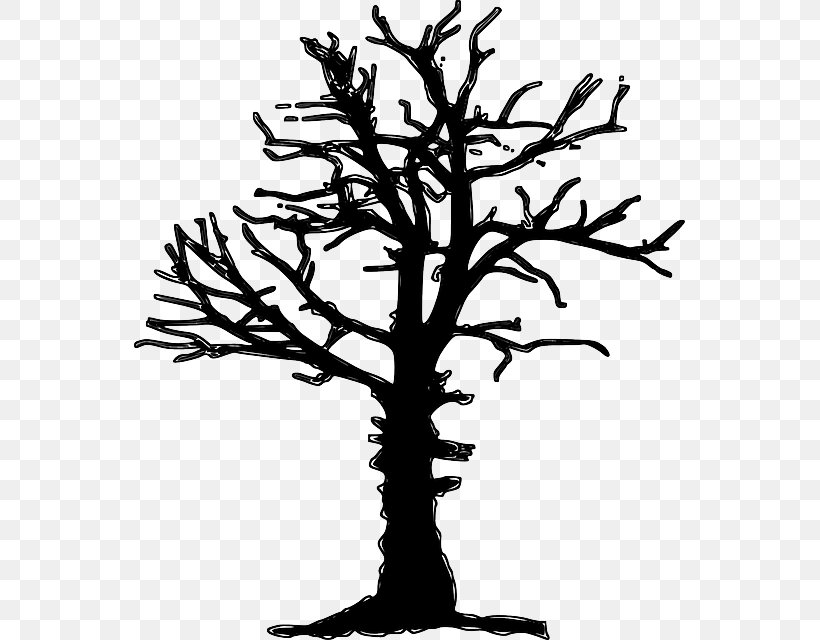 Tree Drawing Forest Dieback Clip Art, PNG, 551x640px, Tree, Black And White, Branch, Death, Drawing Download Free