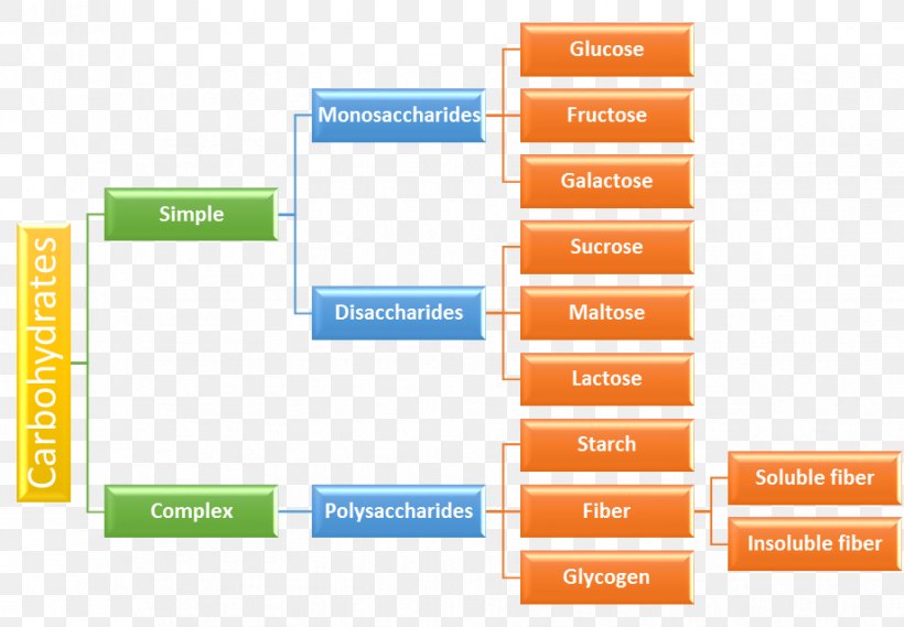 Carbohydrate Disaccharide Food Polysaccharide Dietary Fiber, PNG, 919x638px, Carbohydrate, Brand, Complex, Diagram, Dietary Fiber Download Free
