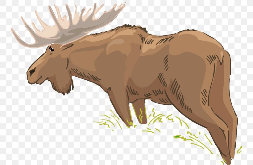 Cattle Moose Bear Horse Wildlife, PNG, 750x536px, Cattle, Animal, Bear, Carnivoran, Cartoon Download Free