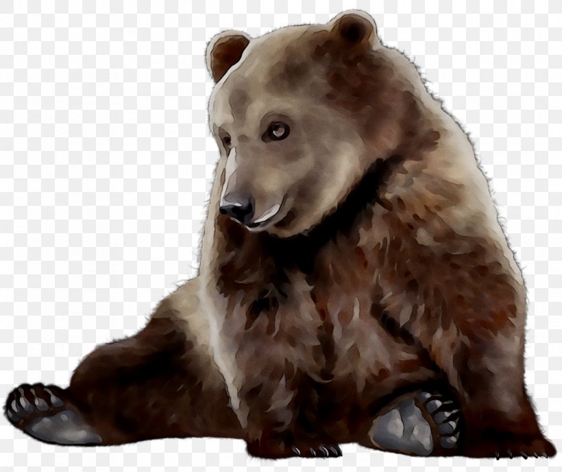 Clip Art Bear Image Download, PNG, 1241x1042px, Bear, American Black Bear, Animal, Animal Figure, Brown Download Free