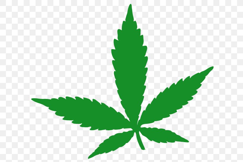 Medical Cannabis Hemp Cannabidiol Hash Oil, PNG, 625x547px, 420 Day, Cannabis, Cannabidiol, Cannabinoid, Cannabis Social Club Download Free