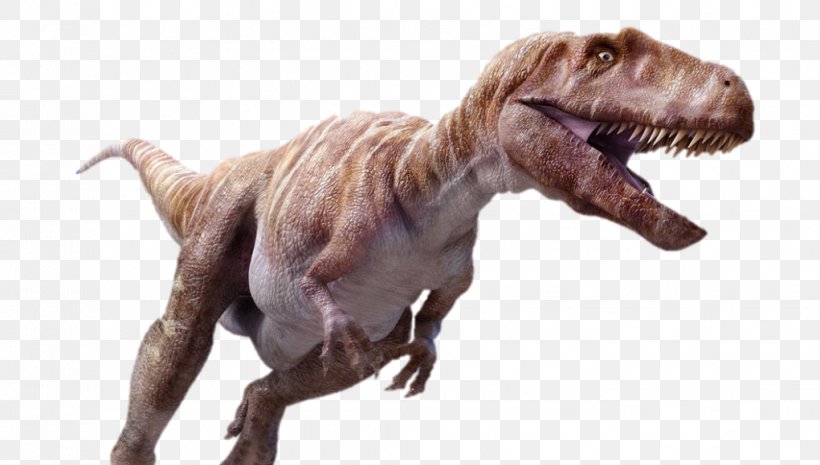 Megalosaurus Tyrannosaurus Torvosaurus Dinosaur Carcharodontosaurus, PNG, 1021x580px, Megalosaurus, Animal, Carcharodontosaurus, Carnivore, Dinosaur Download Free