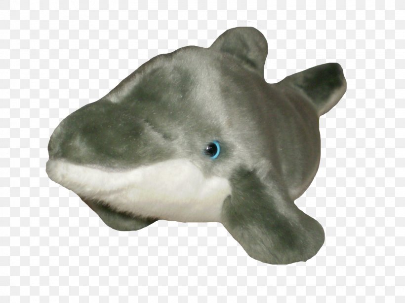 Shark Little Fish, PNG, 1600x1200px, Shark, Animal Figure, Dolphin, Fauna, Figurine Download Free