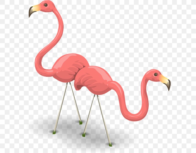 Flamingo Camping Vector