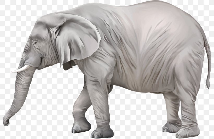 12,372 African Elephant Sketch Images, Stock Photos & Vectors | Shutterstock