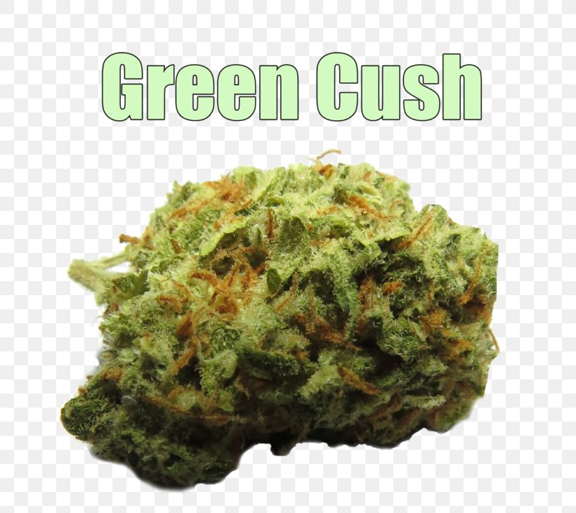 Kush Cannabis Stoner Film Strain Cause, PNG, 768x730px, Kush, Cannabis, Cause, Daily Mail, Mailonline Download Free