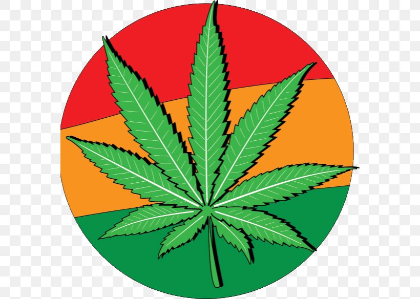 United States Cannabis Drawing Rastafari, PNG, 584x584px, United States, Cannabis, Drawing, Hemp, Hemp Family Download Free
