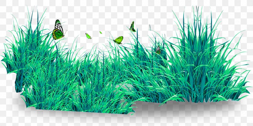 Butterfly Lawn Download, PNG, 1000x500px, Butterfly, Aquarium Decor, Aquatic Plant, Butterflies And Moths, Grass Download Free