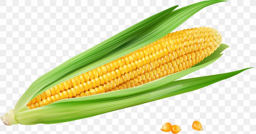 Corn On The Cob Maize Euclidean Vector Vecteur, PNG, 2802x1466px, Corn On The Cob, Commodity, Corn Kernels, Food, Food Grain Download Free