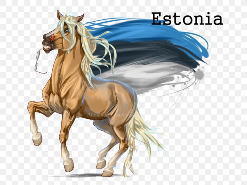 Mane Pony Mustang Stallion Estonian Horse, PNG, 768x614px, Mane, Art, Bridle, Estonian Horse, Fan Art Download Free