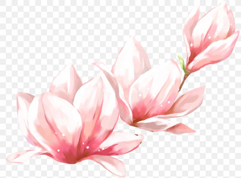 Spring Image Vector Graphics Download, PNG, 1560x1151px, Spring, Alibaba Group, Autumn, Blossom, Branch Download Free