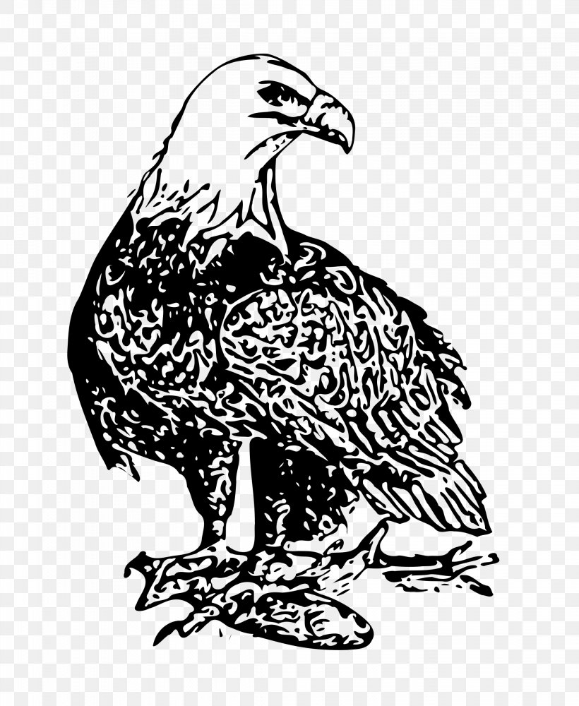 Bald Eagle Bird Clip Art, PNG, 1967x2400px, Bald Eagle, Art, Beak, Bird, Bird Of Prey Download Free