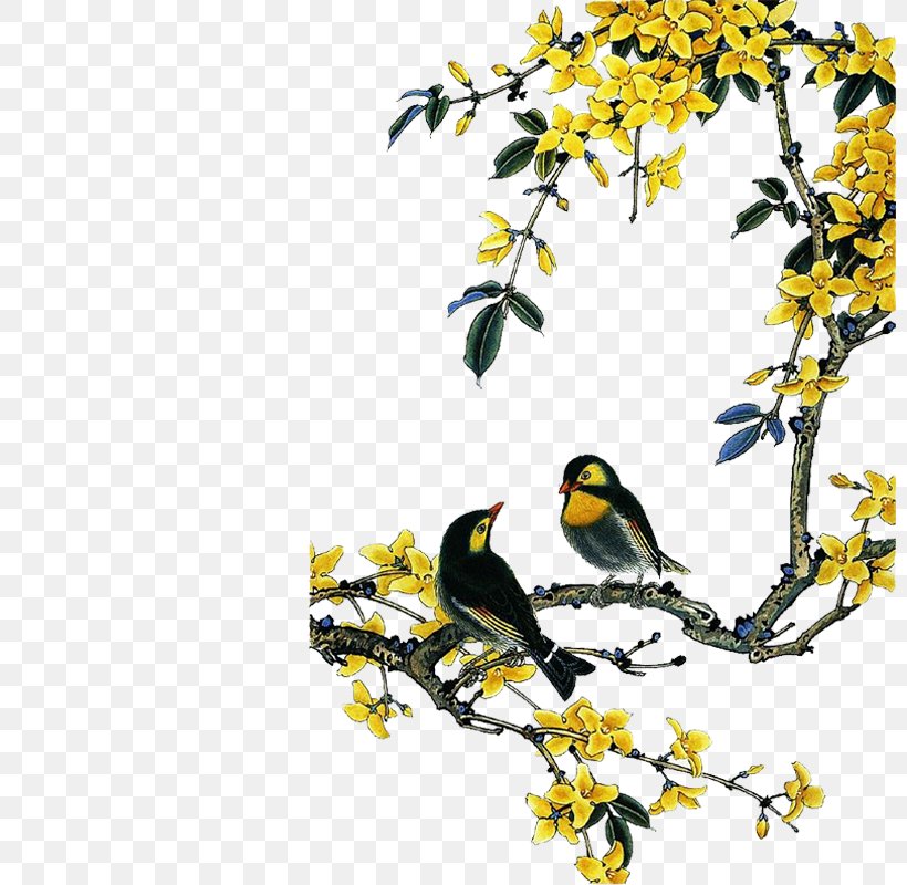 Chinese Birds Chinese Painting Bird-and-flower Painting, PNG, 800x800px, Bird, Beak, Birdandflower Painting, Branch, Chinese Birds Download Free