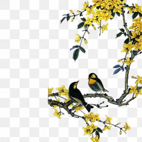 Yellow Peach - Chinese Birds Chinese Painting Bird-and-flower Painting PNG