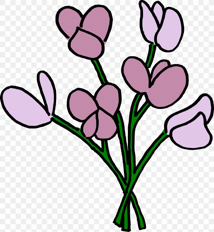 Cut Flowers Sweet Pea Plant Stem Floral Design, PNG, 5233x5686px, Watercolor, Cartoon, Flower, Frame, Heart Download Free
