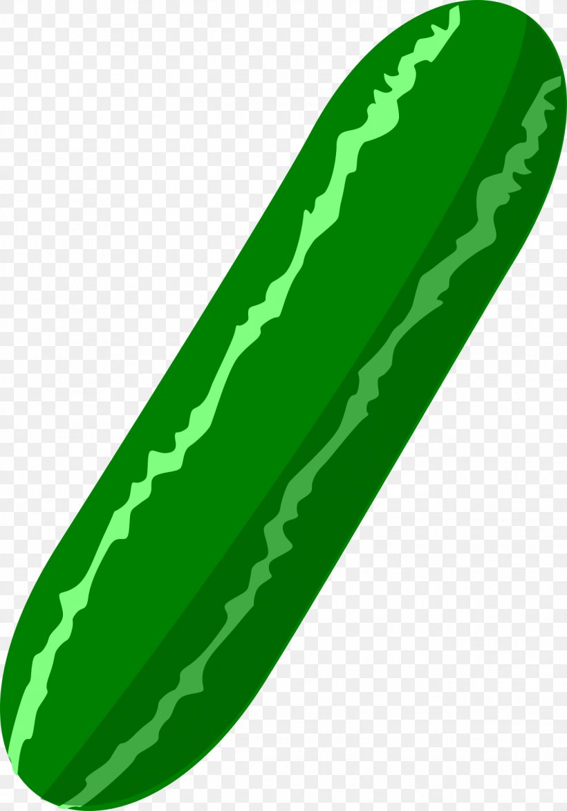 Pickled Cucumber Favicon Vegetable Clip Art, PNG, 1343x1920px, Pickled Cucumber, Cucumber, Cucumber Gourd And Melon Family, Eggplant, Favicon Download Free