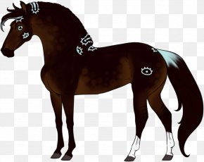 Mustang - Stallion Foal Mustang Mare Halter PNG