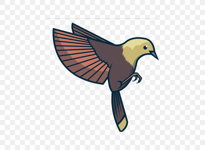 Bird Flight Feather Beak Wing, PNG, 600x600px, Bird, Animal, Beak, Bird Flight, Fauna Download Free
