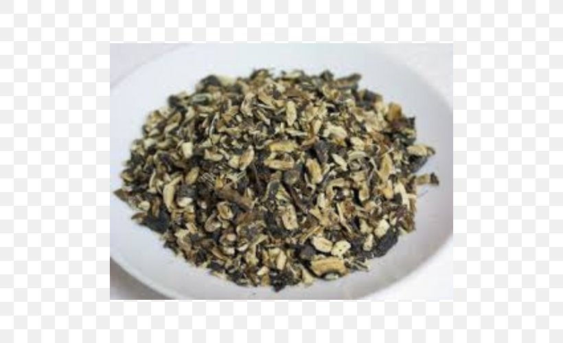 Common Comfrey Herb Ajwain Plant, PNG, 500x500px, Common Comfrey, Ajwain, Biluochun, Calendula Officinalis, Chun Mee Tea Download Free